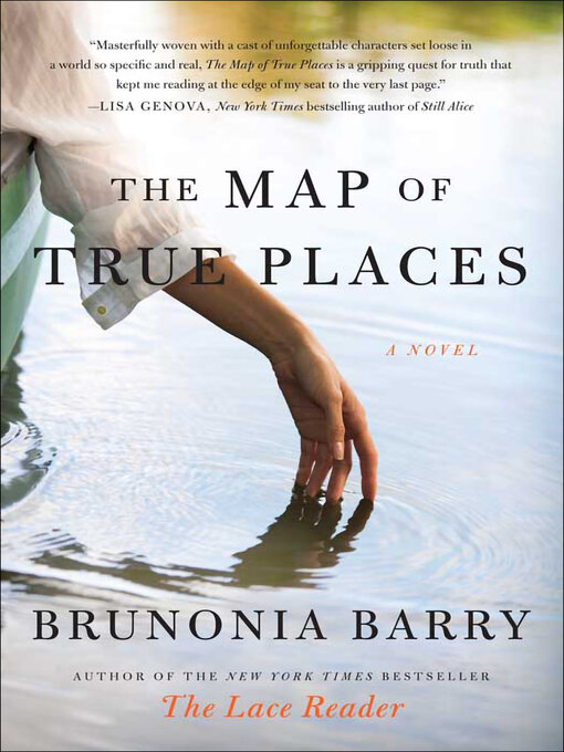 Cover image for The Map of True Places